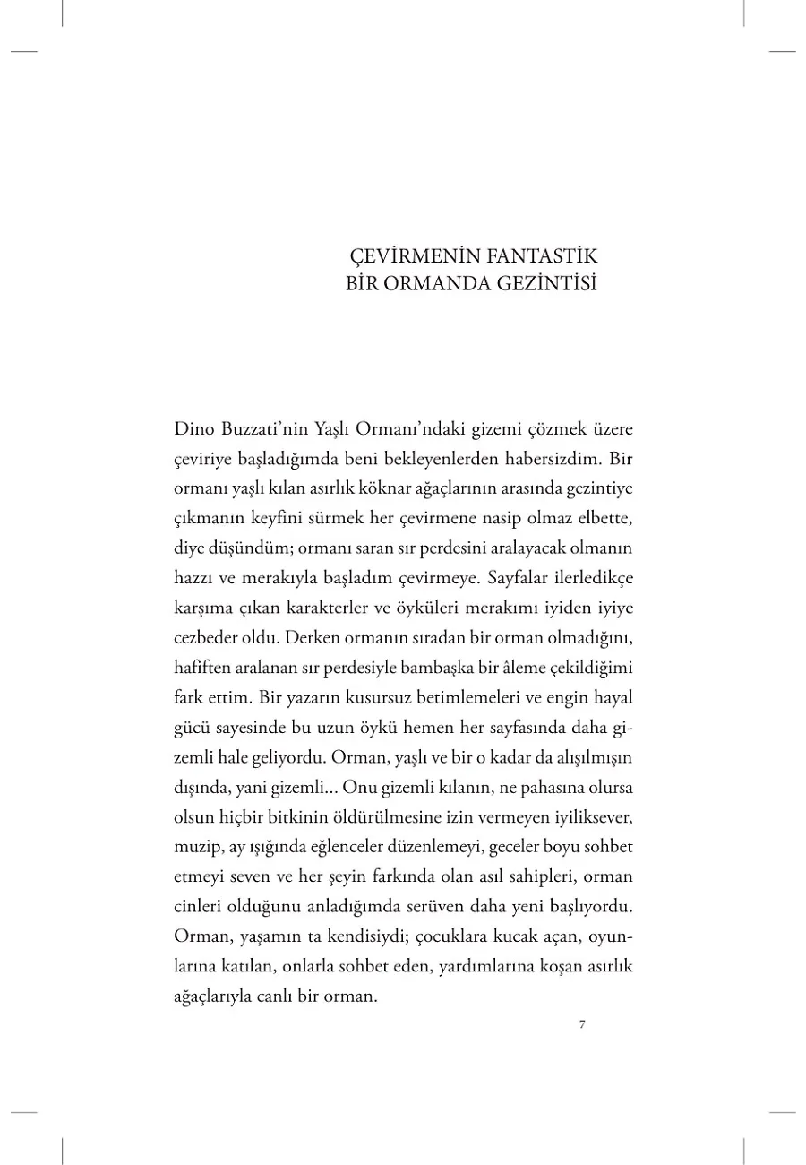 Yaşlı Ormanın Gizemi – Sayfa 2
