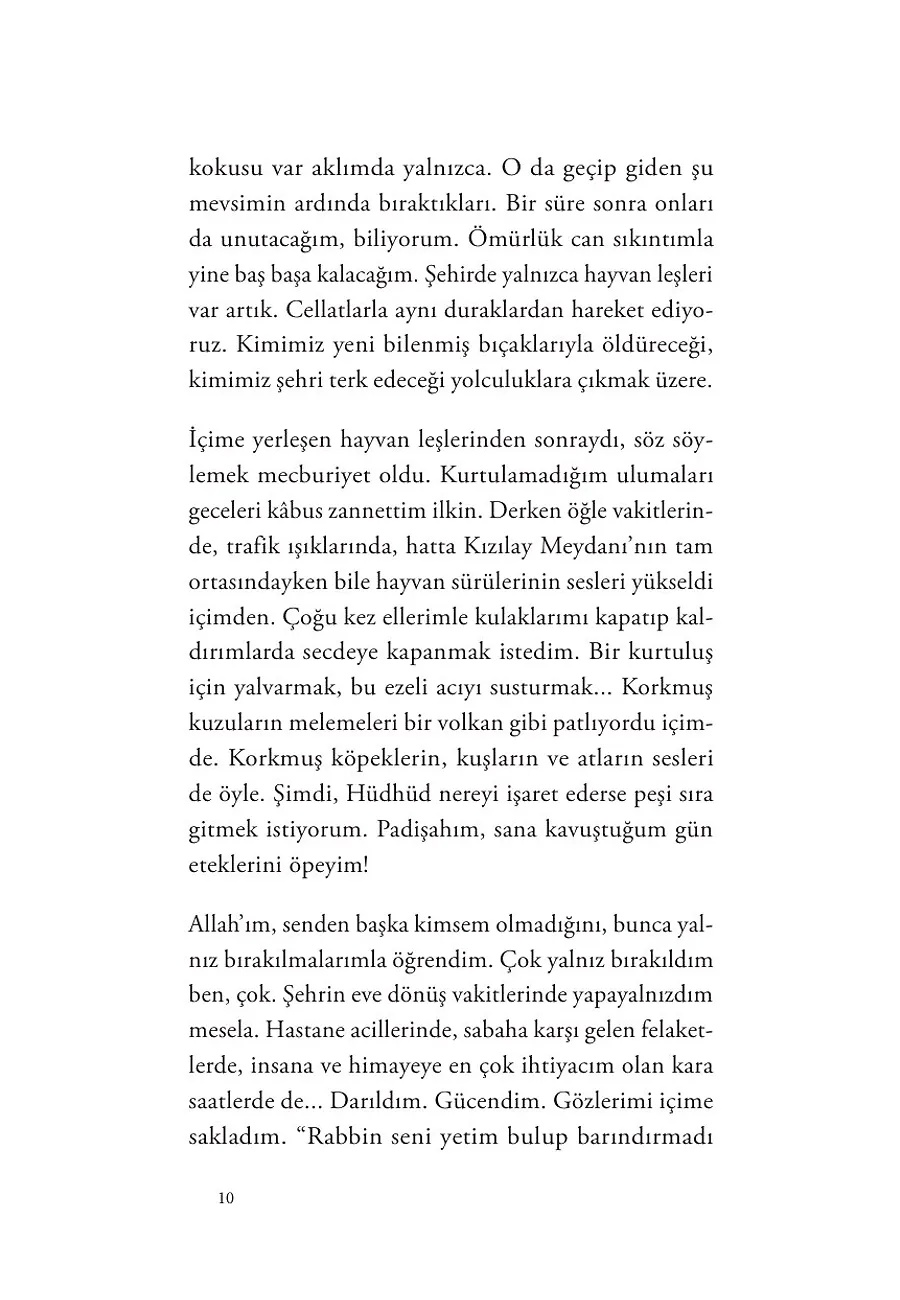Yara Atlası – Sayfa 2
