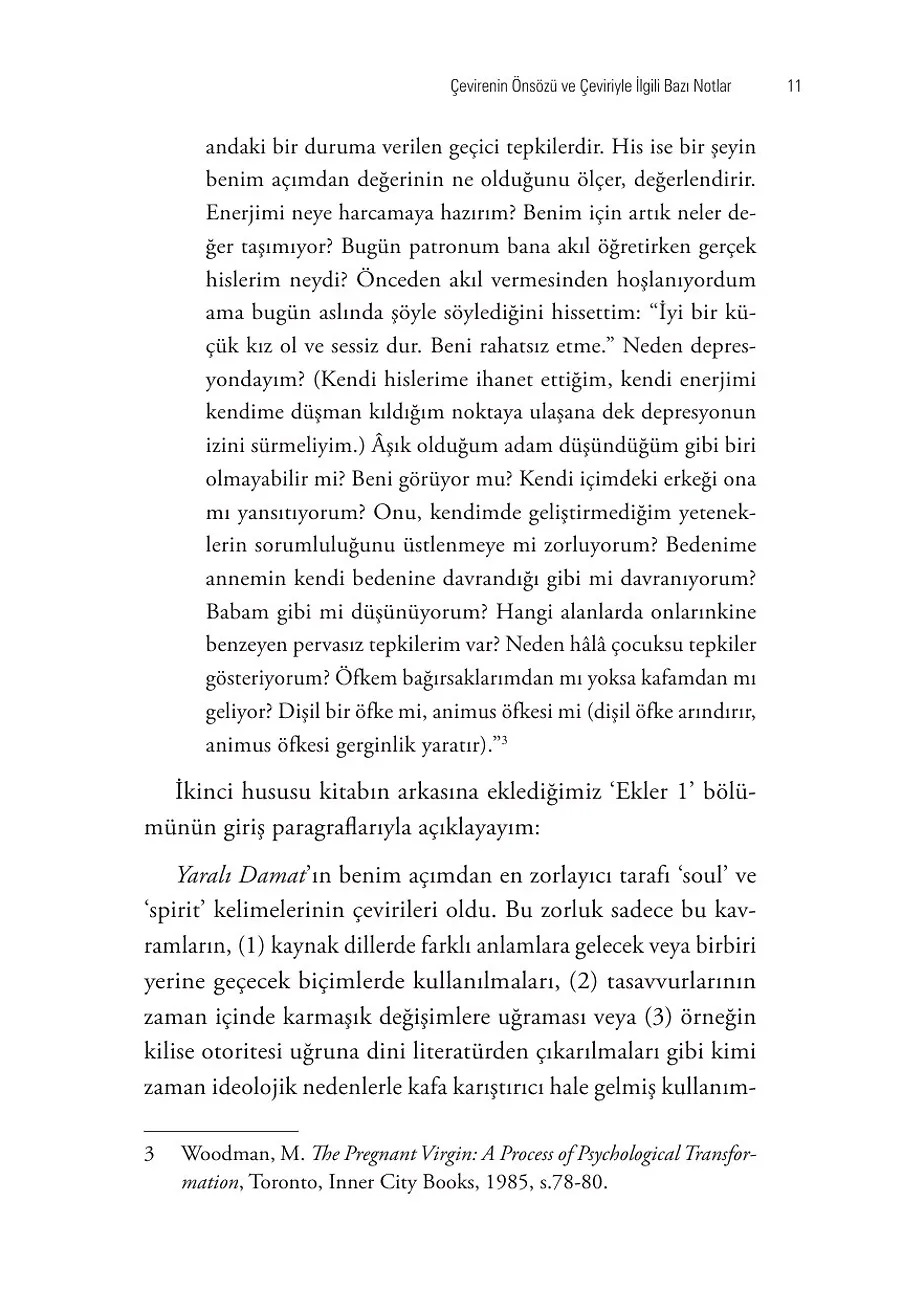 Yaralı Damat – Sayfa 3