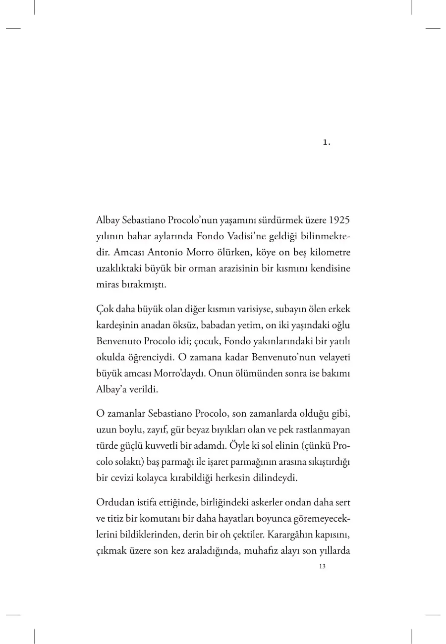 Yaşlı Ormanın Gizemi – Sayfa 5