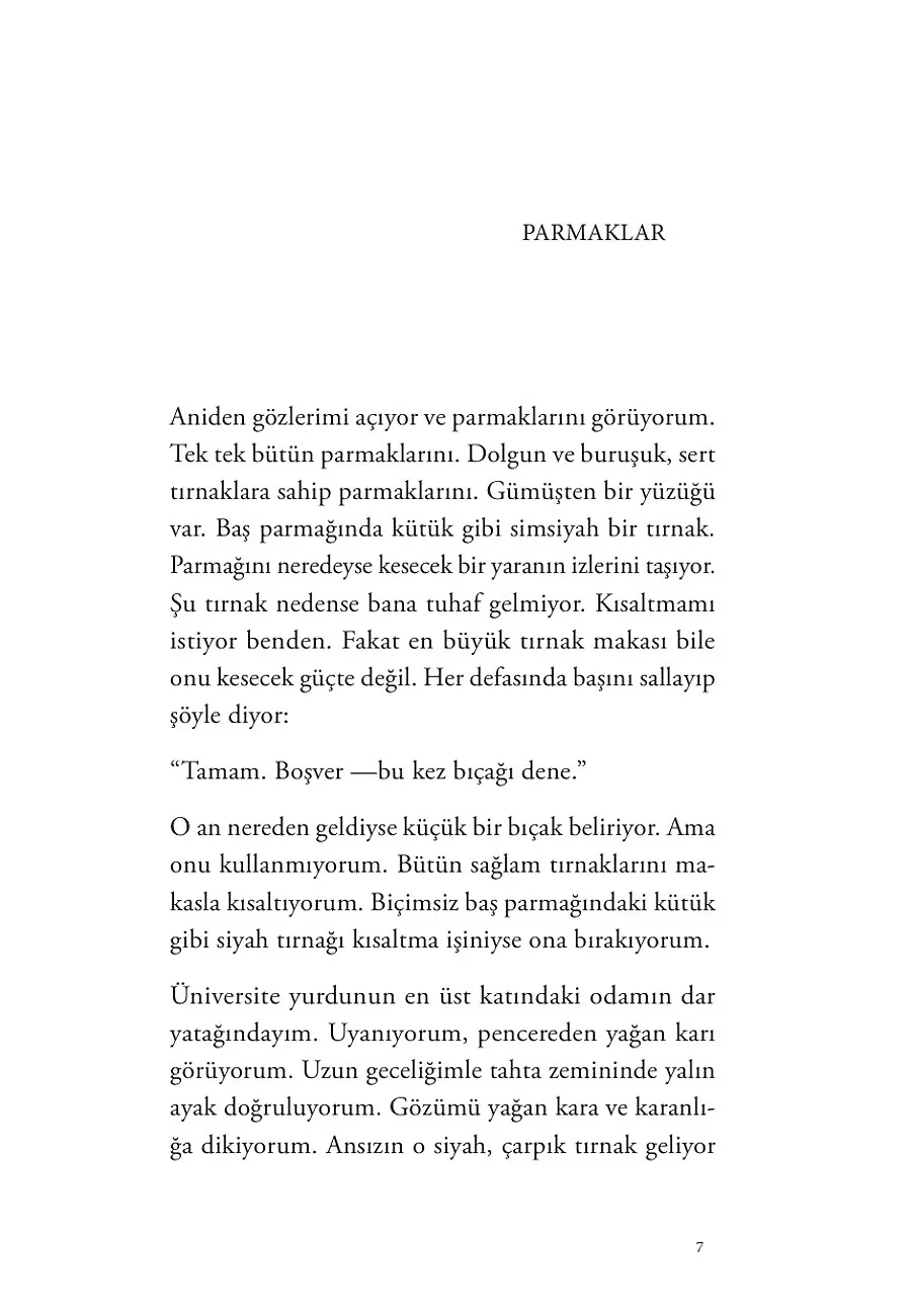 Turunç Ağacı – Sayfa 1