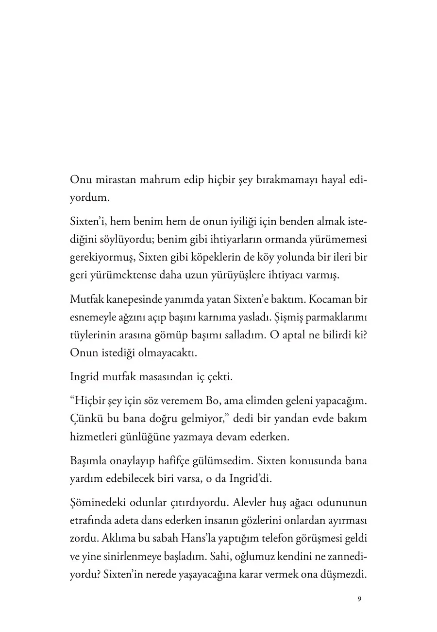 Turnalar Güneye Uçarken – Sayfa 1