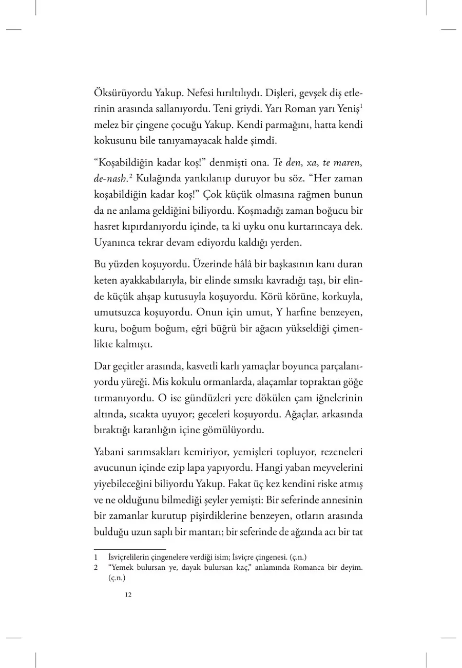 Yakup'un Renkleri – Sayfa 3