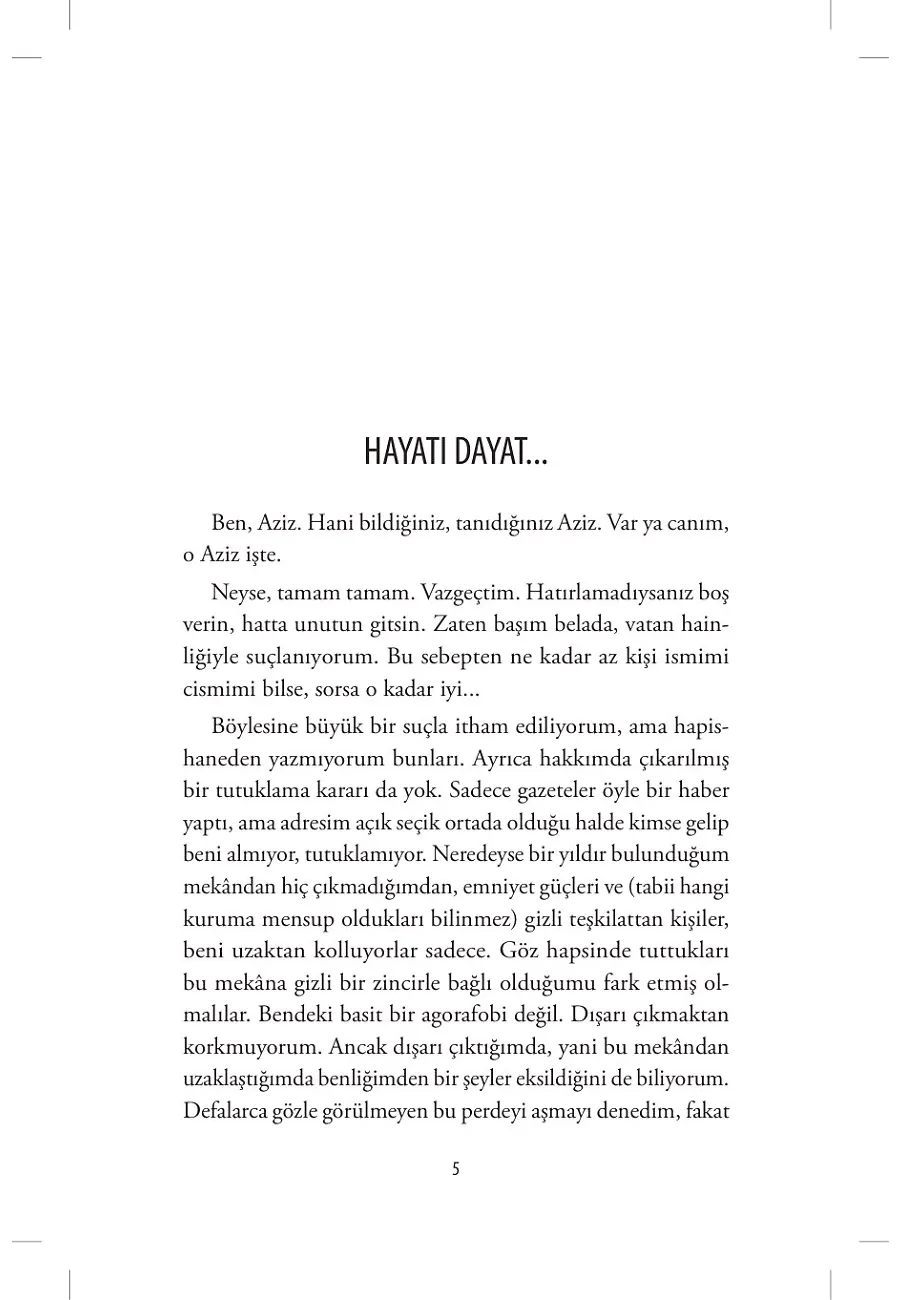 Tuhafiyedeki Hafiye – Sayfa 2