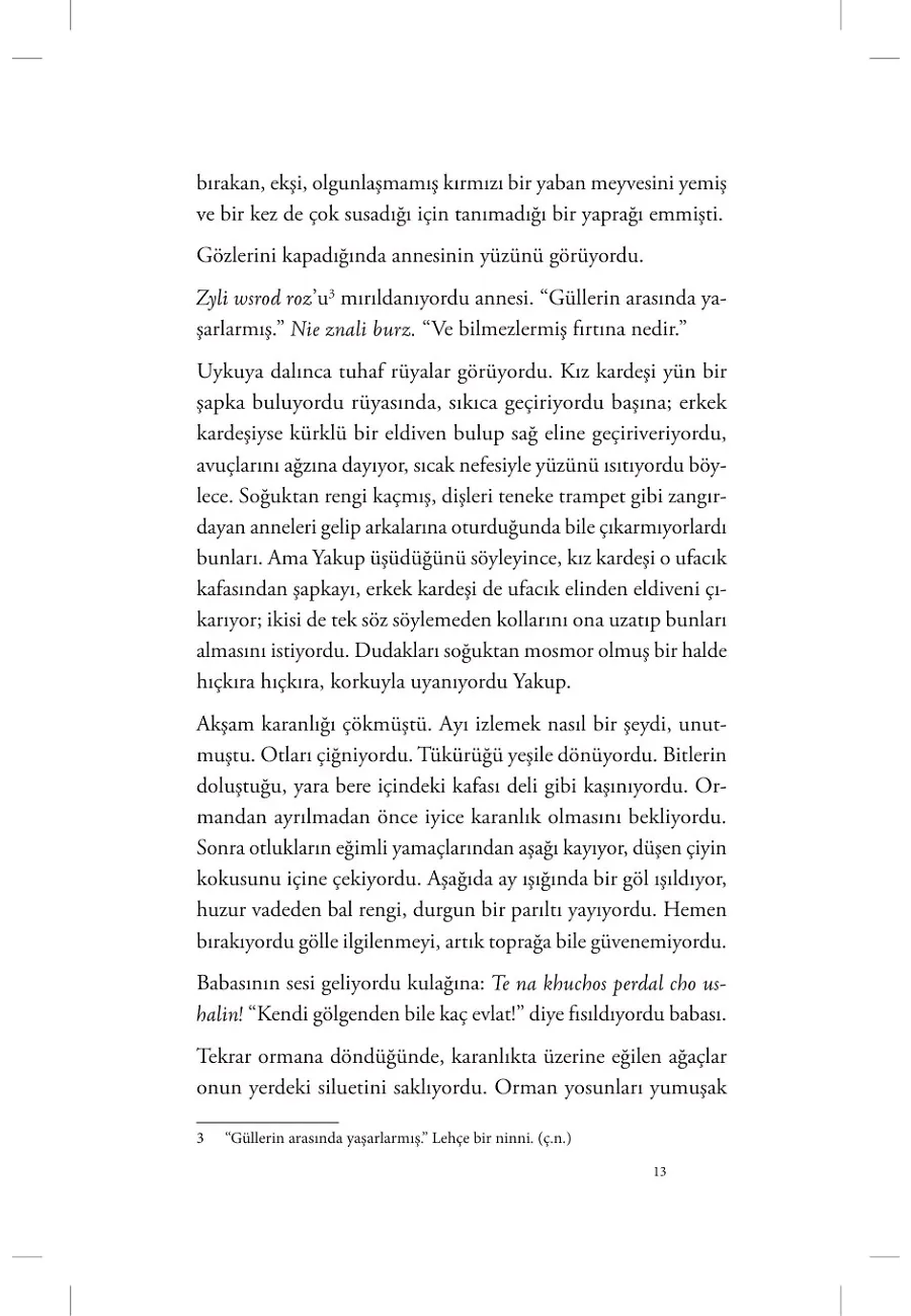 Yakup'un Renkleri – Sayfa 4