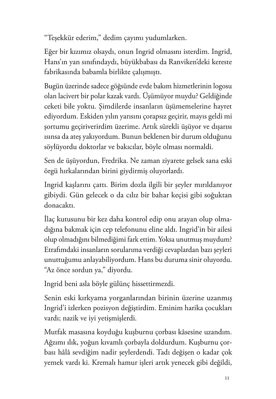 Turnalar Güneye Uçarken – Sayfa 3