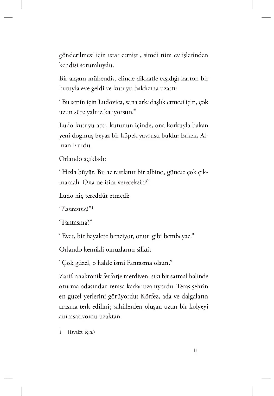 Unutmanın Genel Teorisi – Sayfa 5