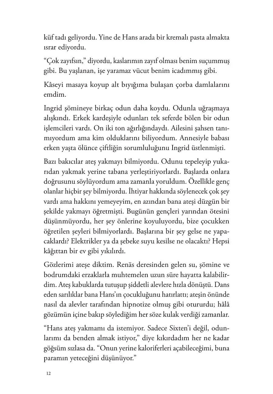 Turnalar Güneye Uçarken – Sayfa 4