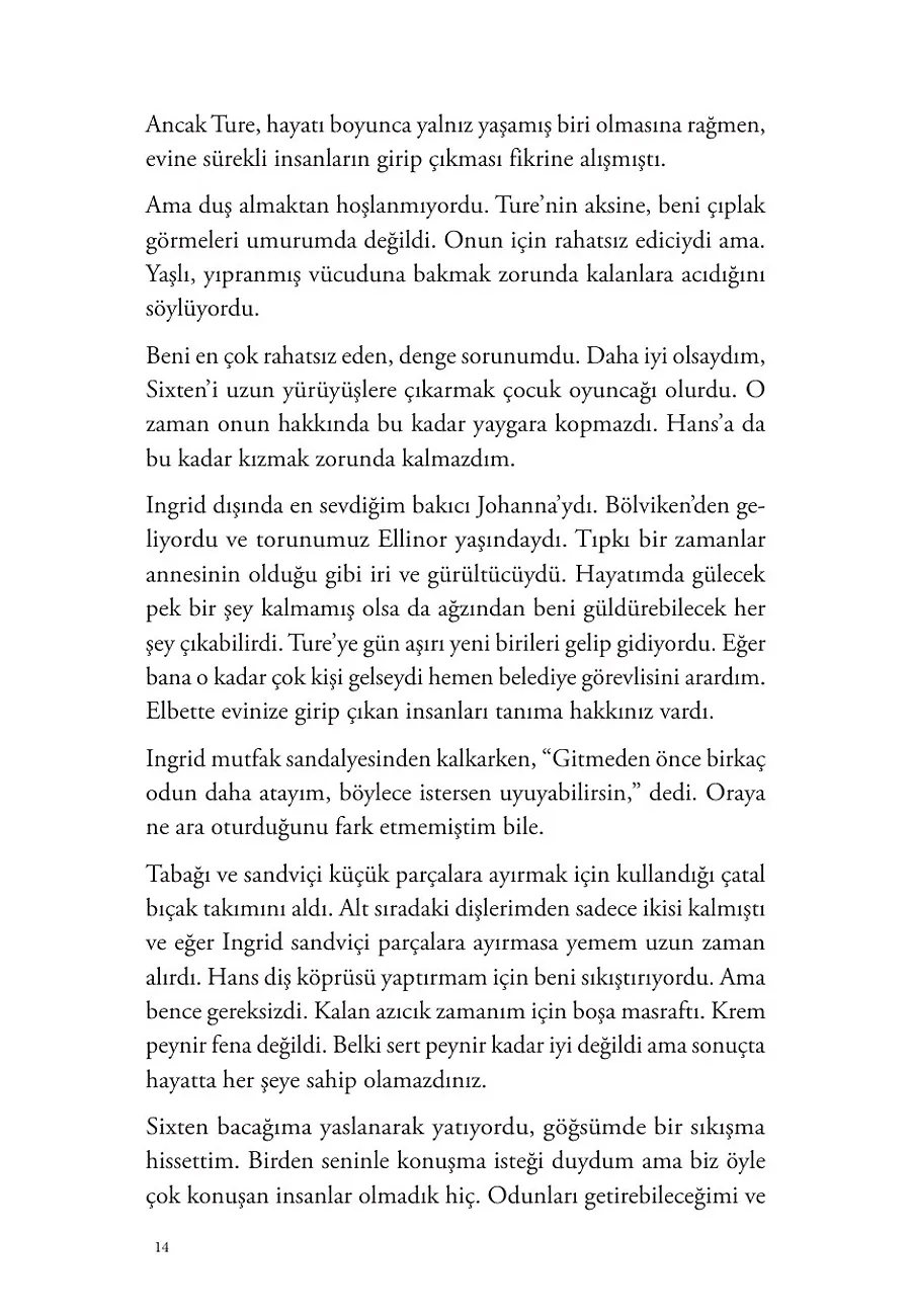 Turnalar Güneye Uçarken – Sayfa 6