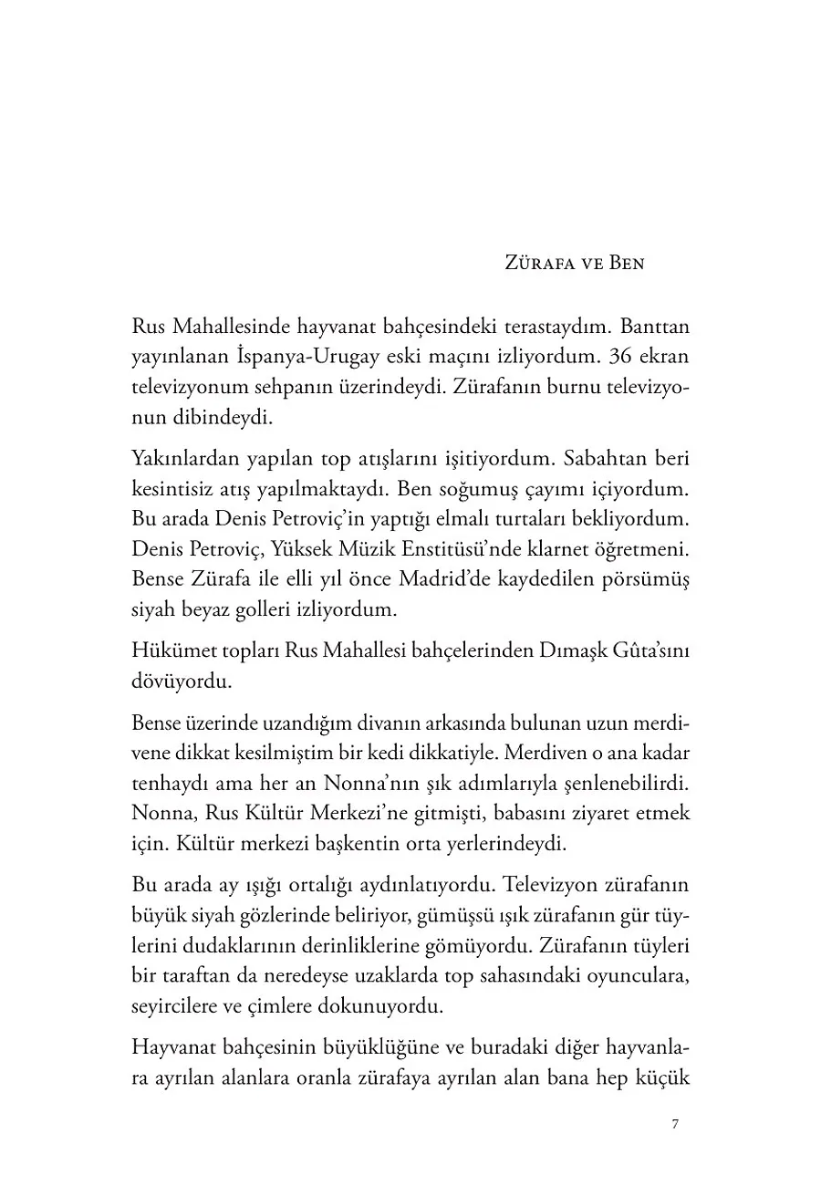 Şamın Uykusuz Zürafası – Sayfa 1
