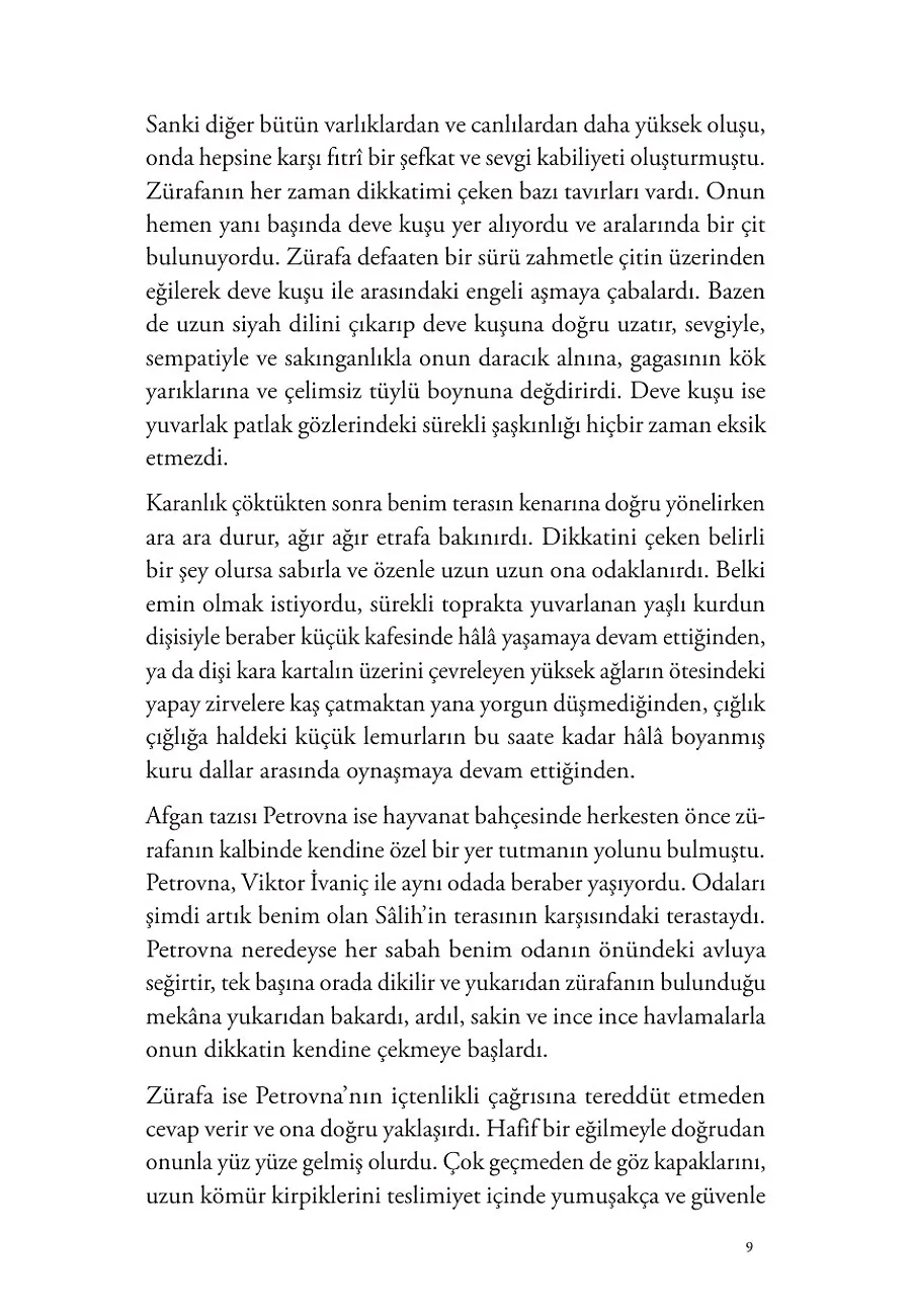 Şamın Uykusuz Zürafası – Sayfa 3
