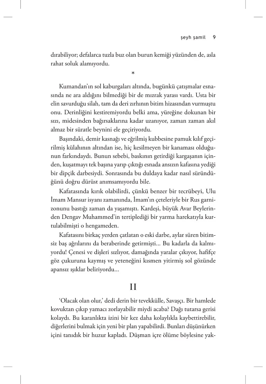 Şeyh Şamil – Sayfa 4
