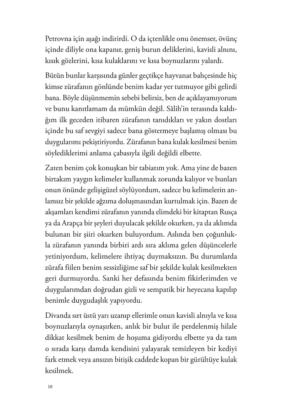 Şamın Uykusuz Zürafası – Sayfa 4