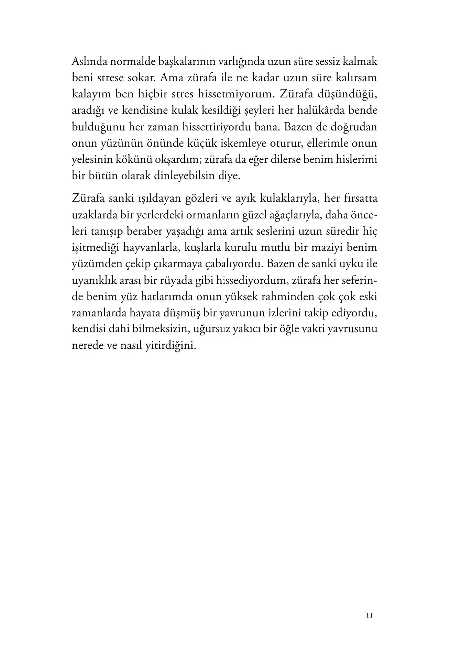 Şamın Uykusuz Zürafası – Sayfa 5