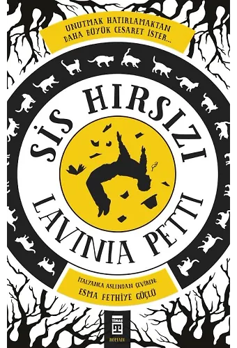 Sis Hırsızı
