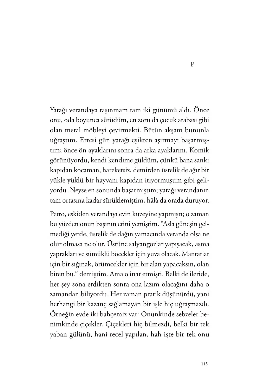Son Hikayeler – Sayfa 1
