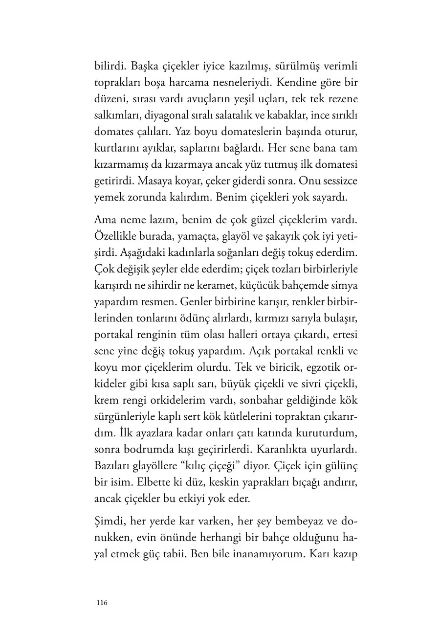 Son Hikayeler – Sayfa 2