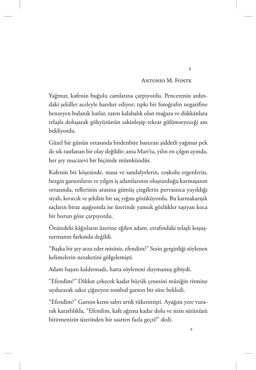 Sis Hırsızı – Sayfa 2