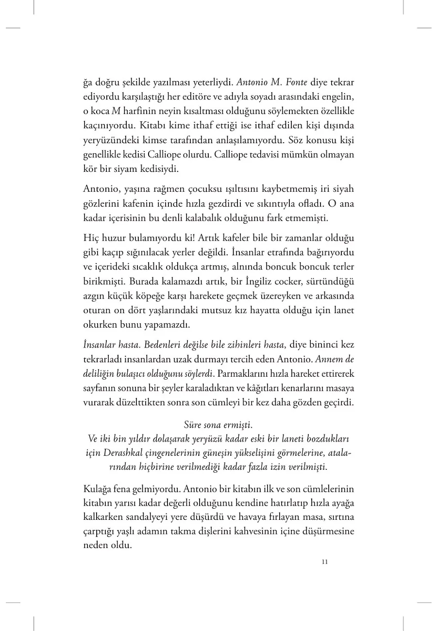 Sis Hırsızı – Sayfa 4