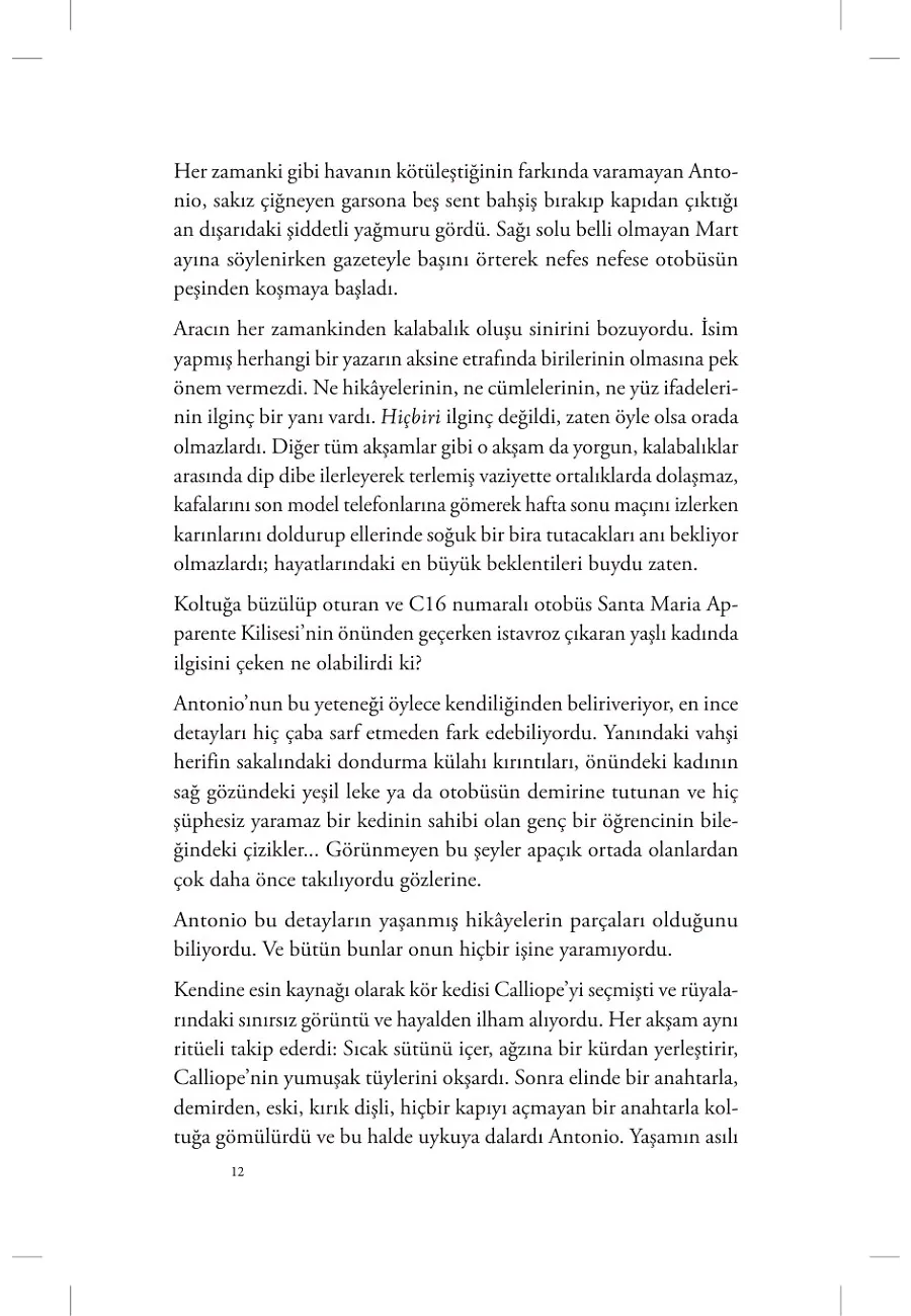 Sis Hırsızı – Sayfa 5