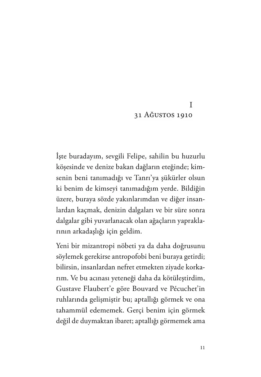 Satranç Ustası Don Sandalio'nun Romanı – Sayfa 3