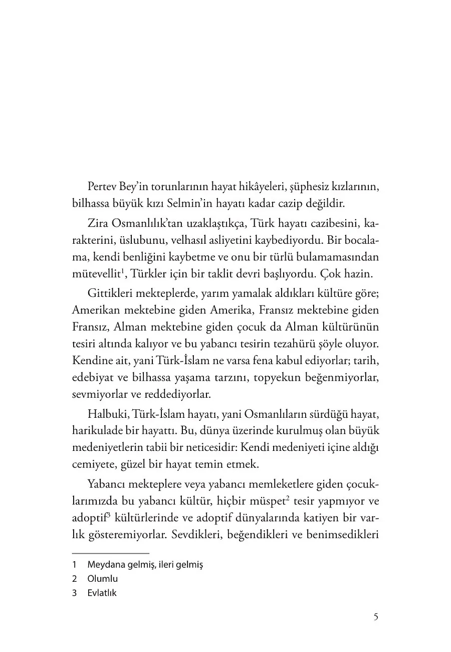 Pertev Bey'in Torunları – Sayfa 2