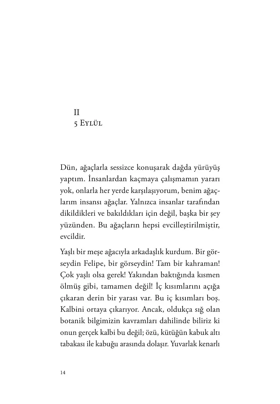 Satranç Ustası Don Sandalio'nun Romanı – Sayfa 6