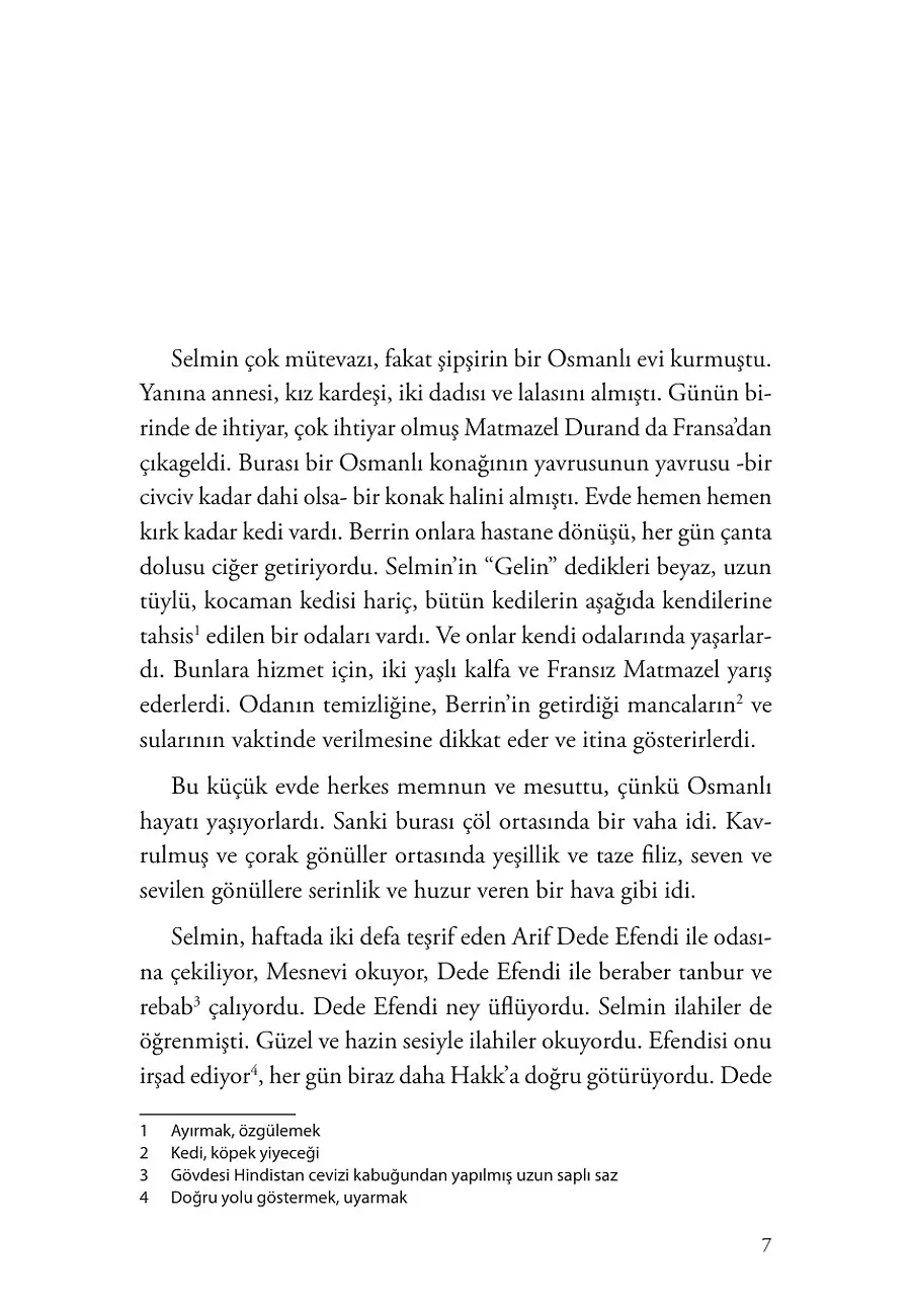 Pertev Bey'in İki Kızı – Sayfa 3