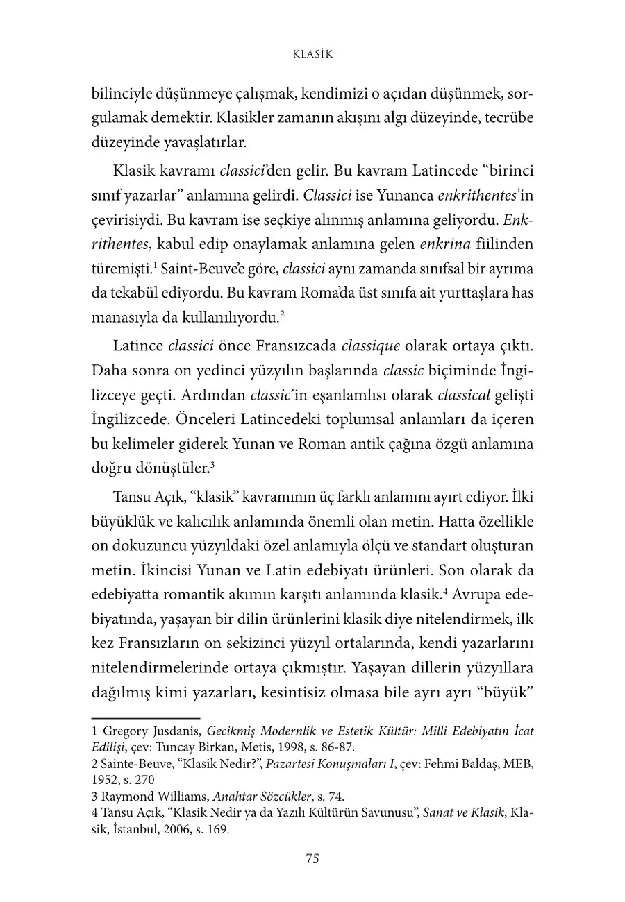 Poetik Ve Politik: Bir Kültürel Çalışmalar Ansiklopedisi – Sayfa 5