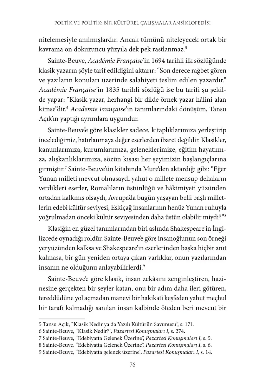 Poetik Ve Politik: Bir Kültürel Çalışmalar Ansiklopedisi – Sayfa 6