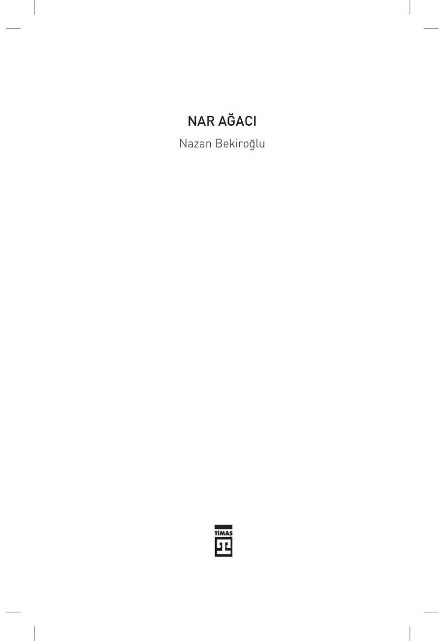 Nar Ağacı (Bez Ciltli) – Sayfa 1