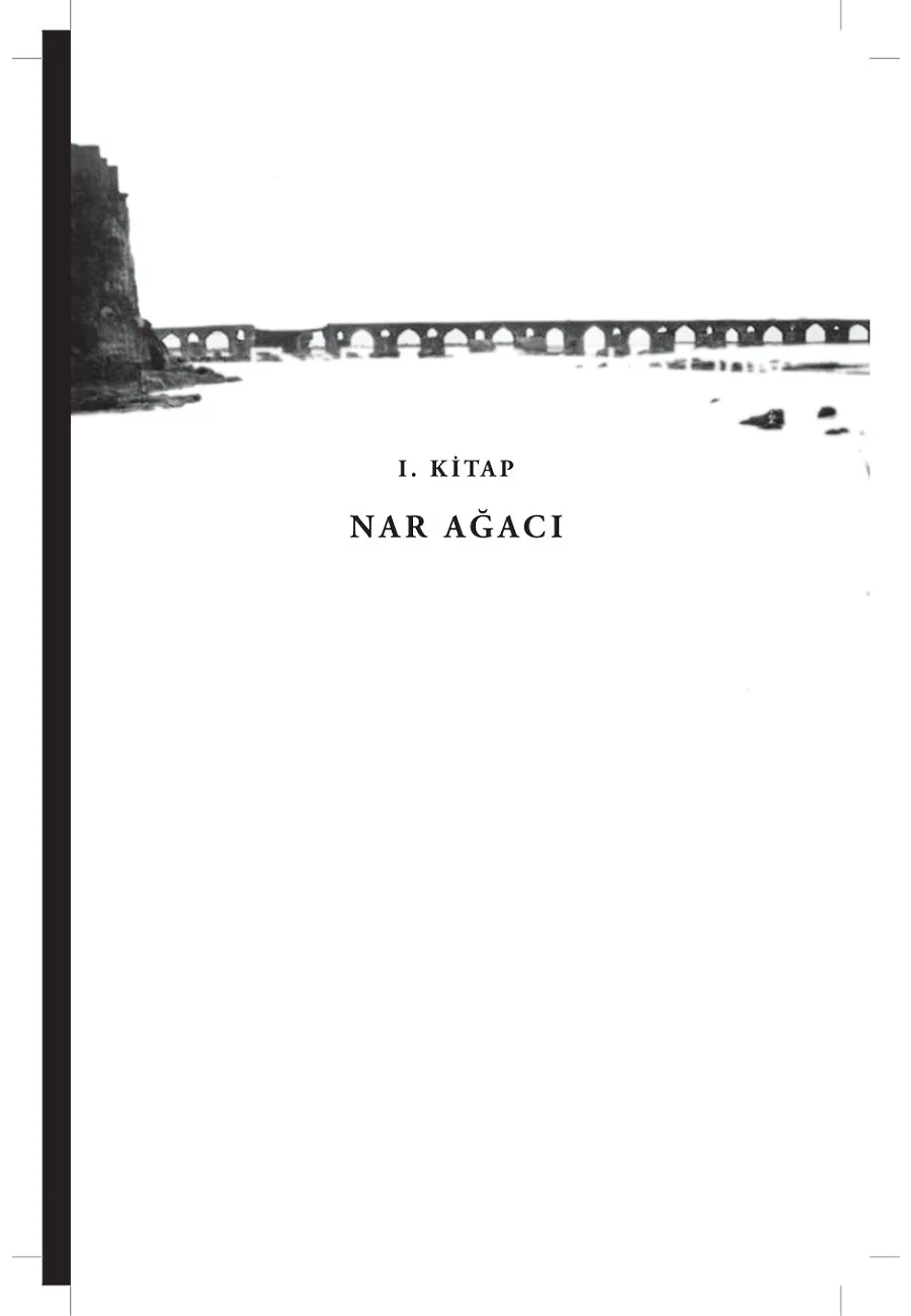 Nar Ağacı (Bez Ciltli) – Sayfa 2