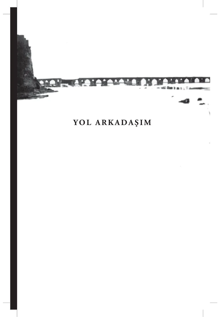 Nar Ağacı – Sayfa 2