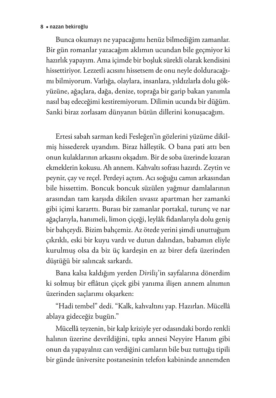 Mücellâ – Sayfa 3