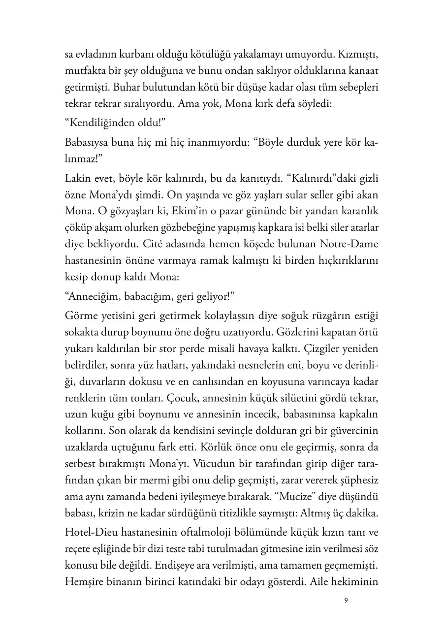 Mona'nın Gözleri (Şömizli) – Sayfa 3