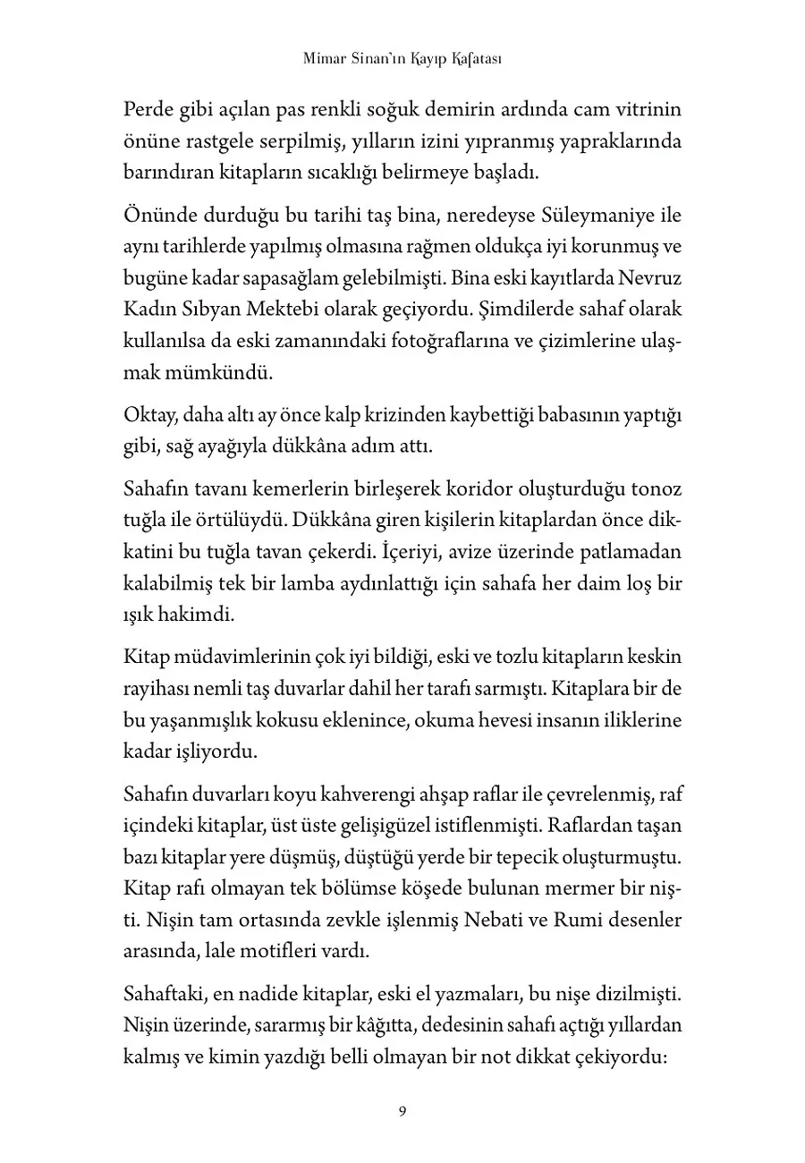 Mimar Sinan'ın Kayıp Kafatası – Sayfa 2