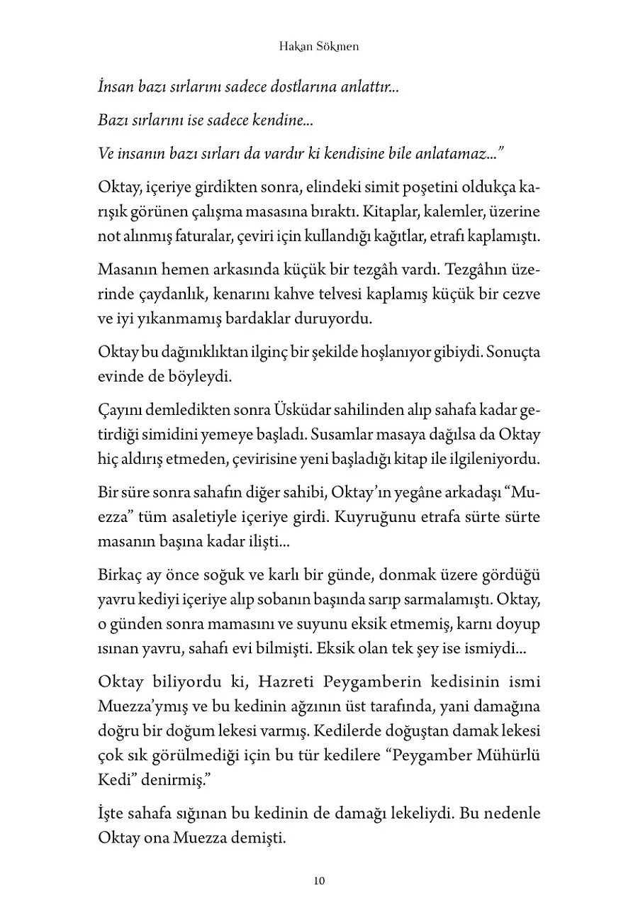 Mimar Sinan'ın Kayıp Kafatası – Sayfa 3