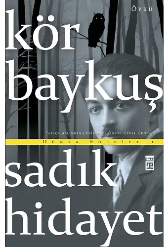 Kör Baykuş