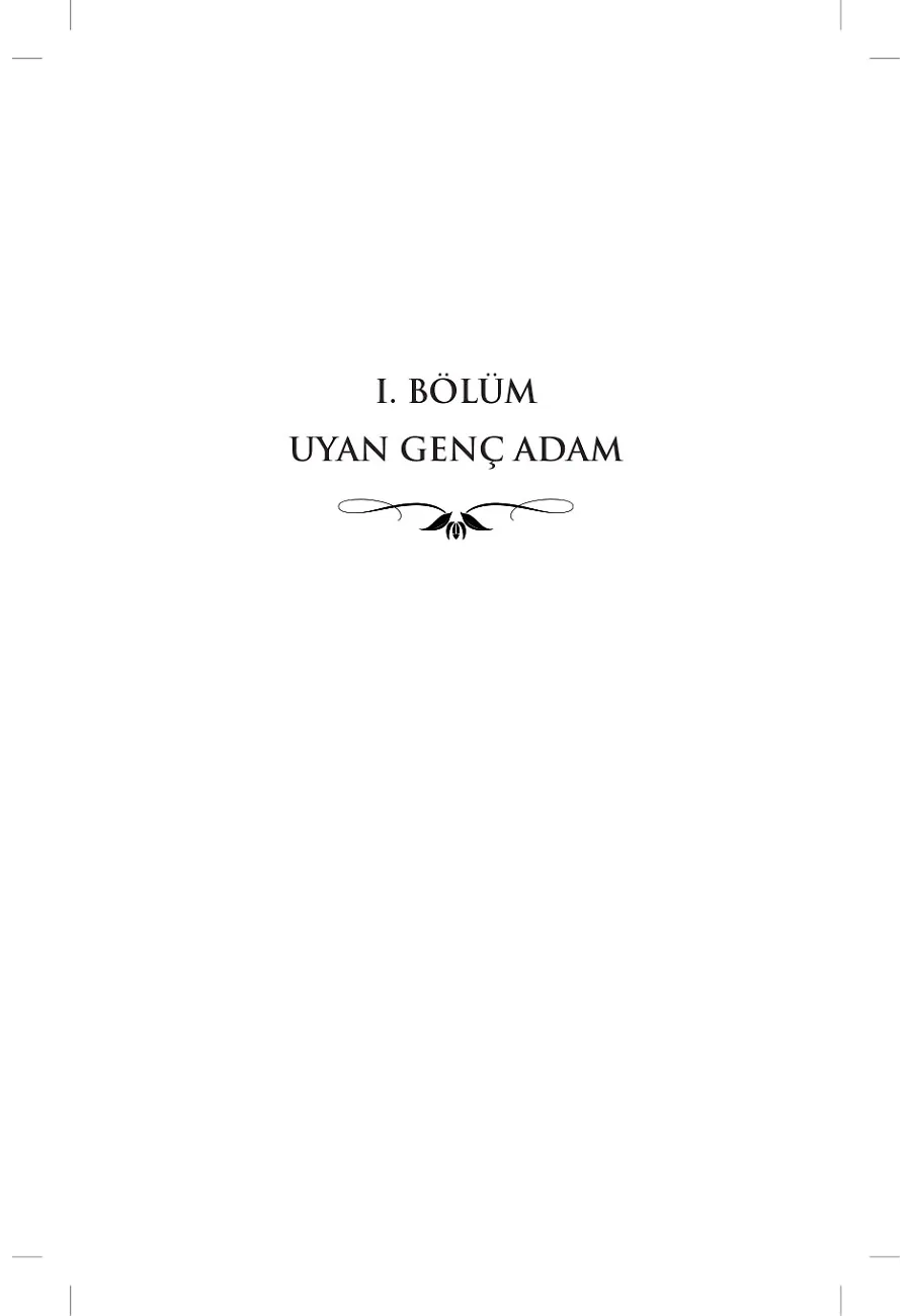 Kurt Ve Kuzgun – Sayfa 2