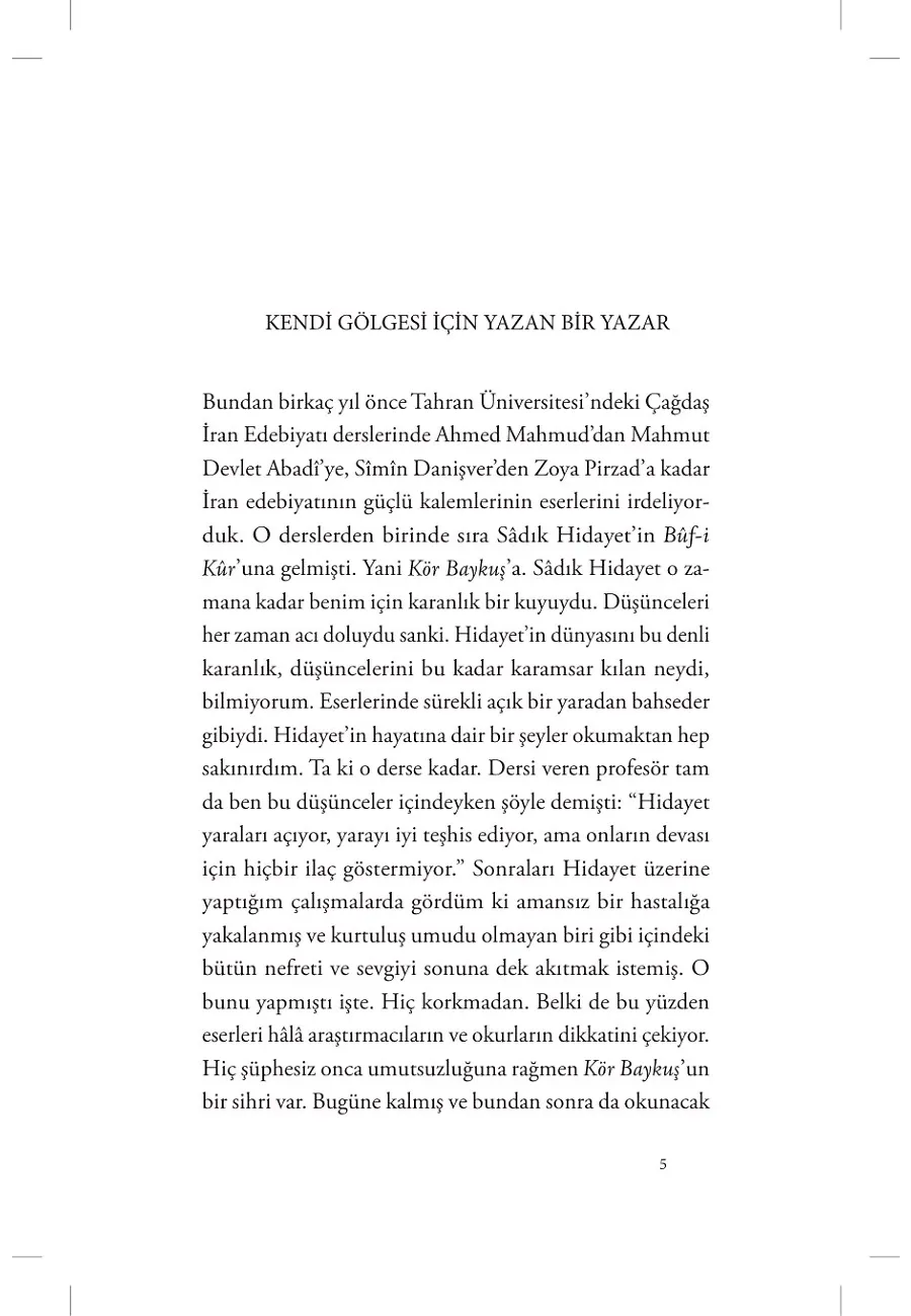 Kör Baykuş – Sayfa 3