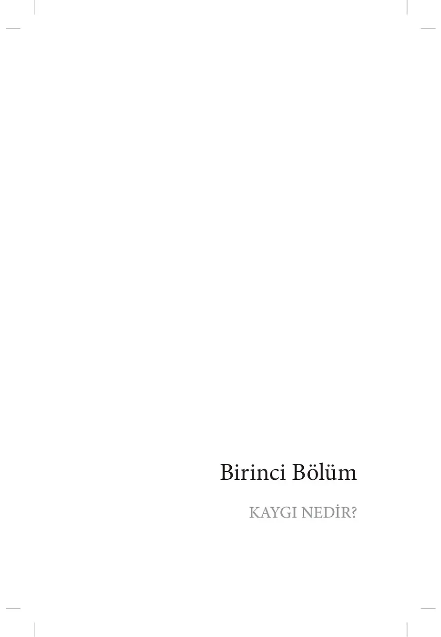 Kaygılanacak Ne Var! – Sayfa 3