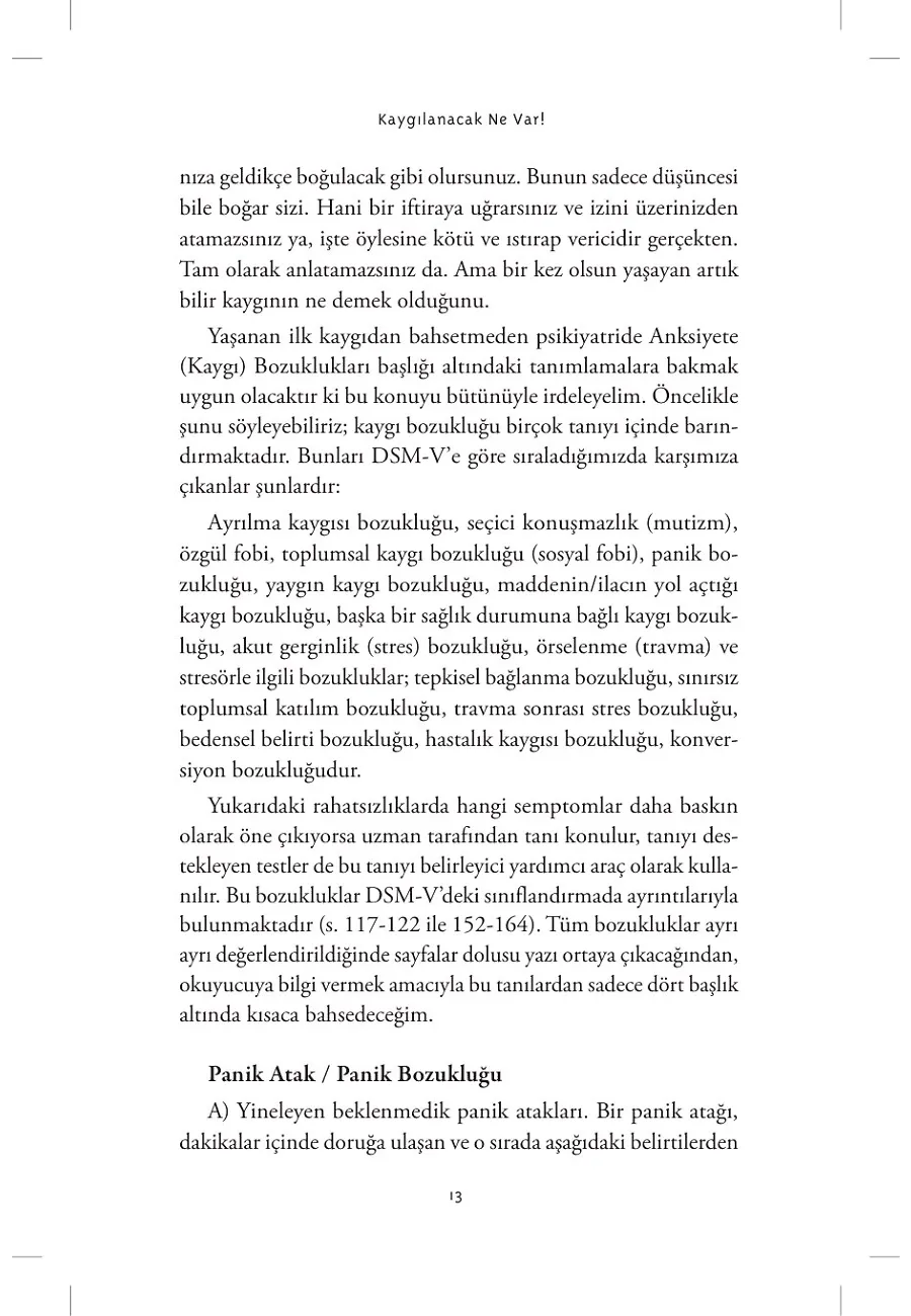 Kaygılanacak Ne Var! – Sayfa 6