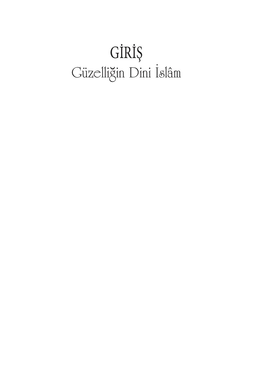 İslam'ın Aynası Camiler – Sayfa 2
