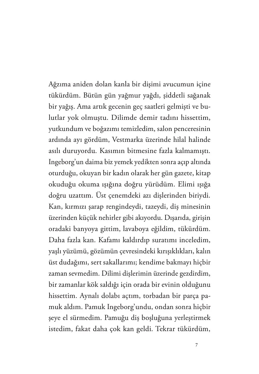 Ingeborg'un Tollak'ı – Sayfa 1