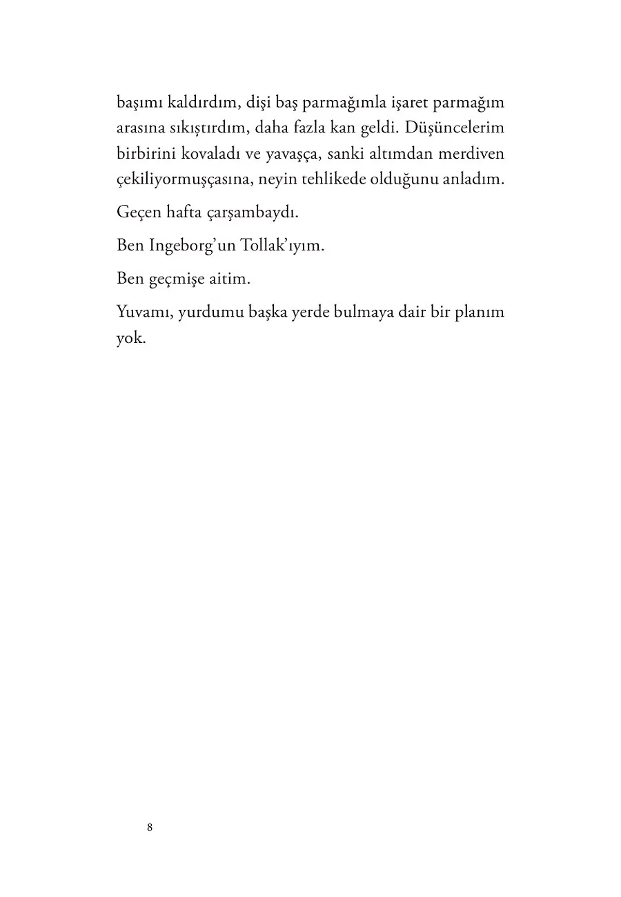 Ingeborg'un Tollak'ı – Sayfa 2