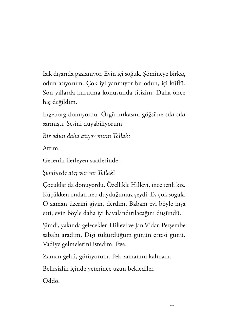 Ingeborg'un Tollak'ı – Sayfa 5