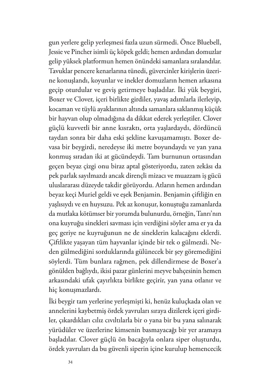 Hayvan Çiftliği – Sayfa 2