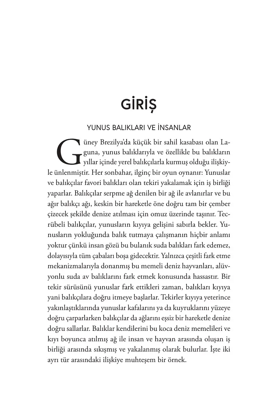 Hayvanlar Nasıl Düşünür, İnsan Ne Görür? – Sayfa 2