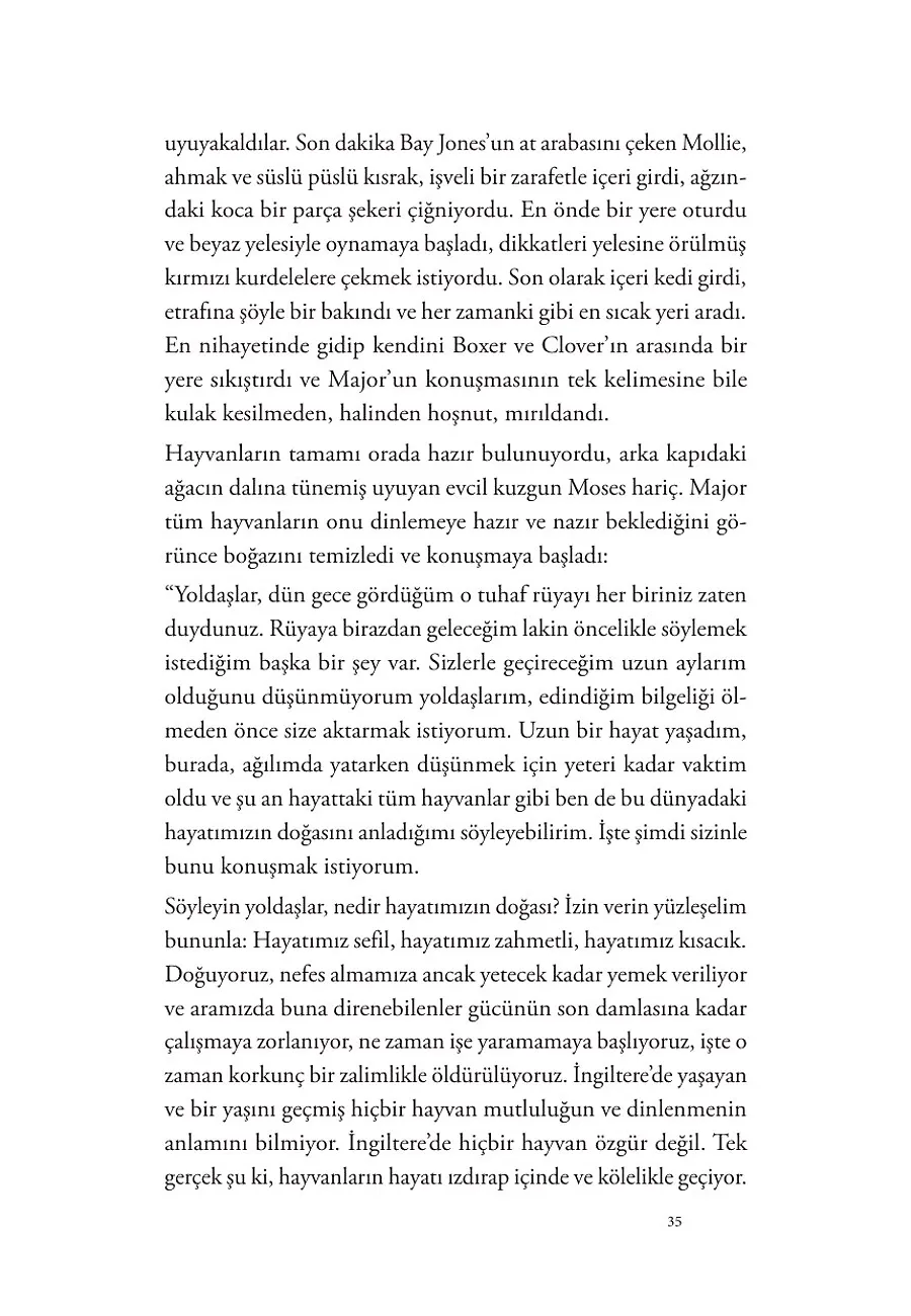 Hayvan Çiftliği – Sayfa 3