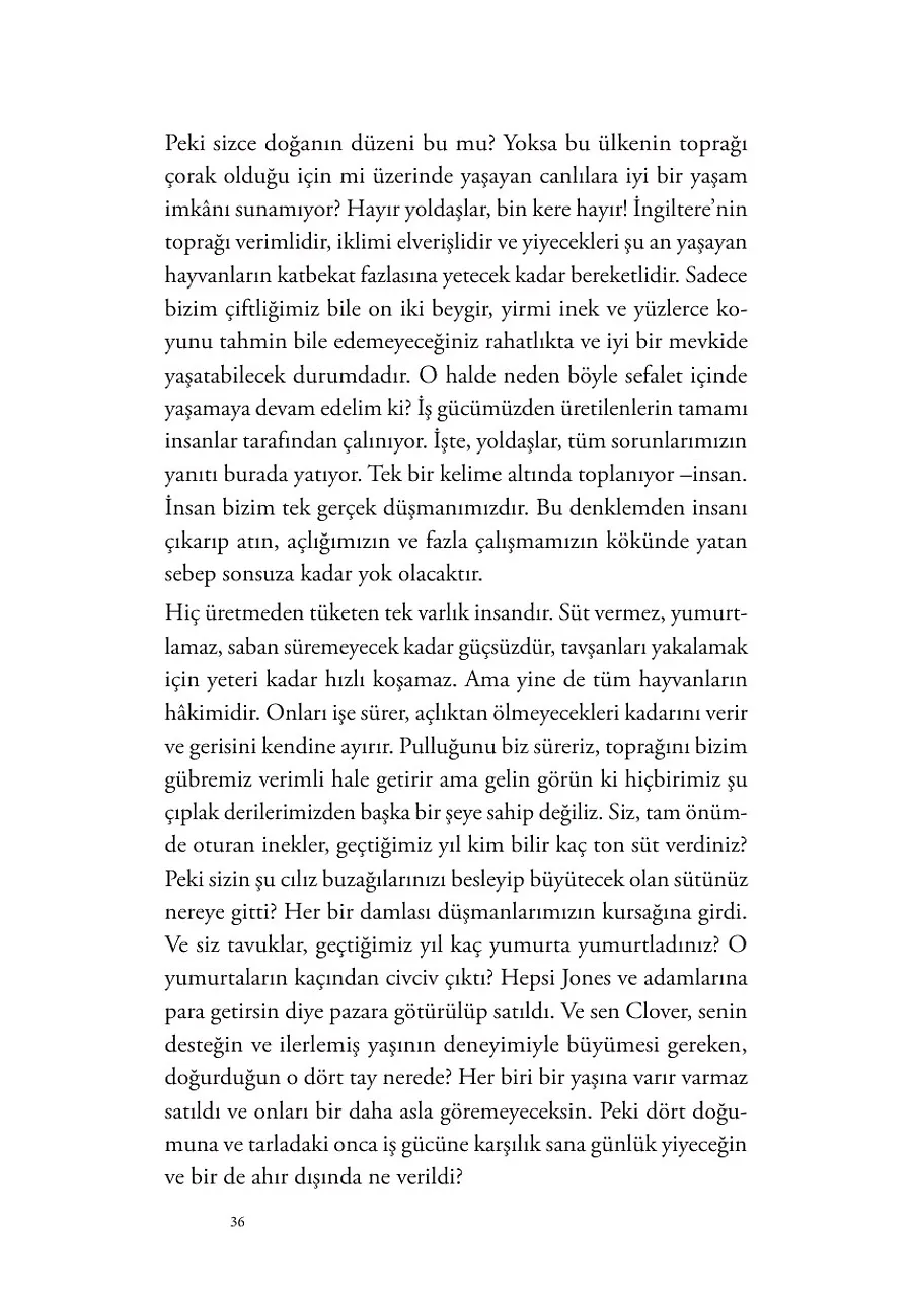 Hayvan Çiftliği – Sayfa 4